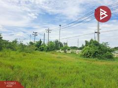 ขายที่ดินถมแล้ว เนื้อที่ 3 ไร่ 1 งาน ติดถนนสายเอเชีย พยุหะคีรี นครสวรรค์-202510261308301761458910957.jpg