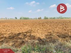 ขายที่ดินแปลงใหญ่ เนื้อที่ 72 ไร่ 2 งาน 92 ตารางวา อ.ชนแดน เพชรบูรณ์-202510261355461761461746315.jpg