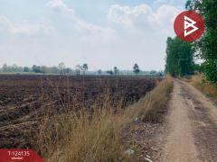 ขายที่ดินแปลงใหญ่ เนื้อที่ 72 ไร่ 2 งาน 92 ตารางวา อ.ชนแดน เพชรบูรณ์-202510261355461761461746902.jpg