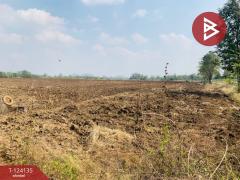 ขายที่ดินแปลงใหญ่ เนื้อที่ 72 ไร่ 2 งาน 92 ตารางวา อ.ชนแดน เพชรบูรณ์-202510261355471761461747508.jpg