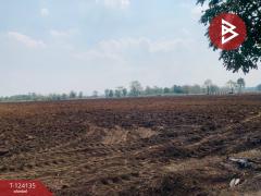 ขายที่ดินแปลงใหญ่ เนื้อที่ 72 ไร่ 2 งาน 92 ตารางวา อ.ชนแดน เพชรบูรณ์-202510261355481761461748256.jpg