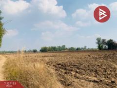 ขายที่ดินแปลงใหญ่ เนื้อที่ 72 ไร่ 2 งาน 92 ตารางวา อ.ชนแดน เพชรบูรณ์-202510261355481761461748872.jpg