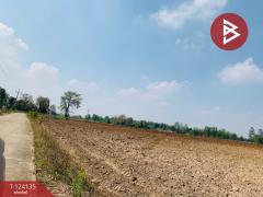 ขายที่ดินแปลงใหญ่ เนื้อที่ 72 ไร่ 2 งาน 92 ตารางวา อ.ชนแดน เพชรบูรณ์-202510261355491761461749481.jpg