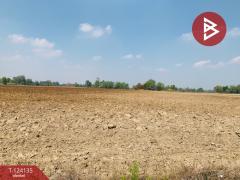 ขายที่ดินแปลงใหญ่ เนื้อที่ 72 ไร่ 2 งาน 92 ตารางวา อ.ชนแดน เพชรบูรณ์-202510261355501761461750102.jpg