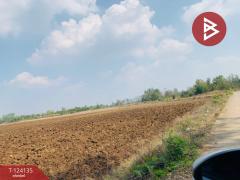 ขายที่ดินแปลงใหญ่ เนื้อที่ 72 ไร่ 2 งาน 92 ตารางวา อ.ชนแดน เพชรบูรณ์-202510261355511761461751261.jpg