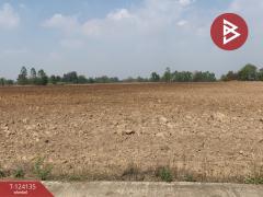 ขายที่ดินแปลงใหญ่ เนื้อที่ 72 ไร่ 2 งาน 92 ตารางวา อ.ชนแดน เพชรบูรณ์-202510261355511761461751926.jpg