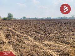 ขายที่ดินแปลงใหญ่ เนื้อที่ 72 ไร่ 2 งาน 92 ตารางวา อ.ชนแดน เพชรบูรณ์-202510261355531761461753060.jpg