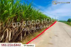 TP-984862 ที่ดินท่าม่วง 22 ไร่ 14 ตร.ว. กาญจนบุรี ใกล้โรงพยาบาลส่งเสริมสุขภาพตำบลนพกิจโกศล-202510261406151761462375458.jpg