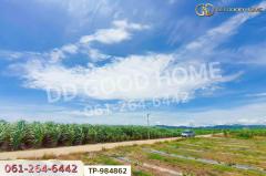 TP-984862 ที่ดินท่าม่วง 22 ไร่ 14 ตร.ว. กาญจนบุรี ใกล้โรงพยาบาลส่งเสริมสุขภาพตำบลนพกิจโกศล-202510261406171761462377353.jpg