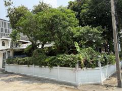 ขายบ้านเดี่ยว ย่านสะพานควาย หมู่บ้านจตุรมิตร ซอยประดิพัทธ์ 15-202510261413331761462813010.jpg