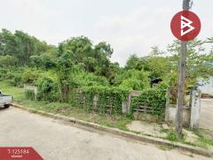 ขายที่ดิน เนื้อที่ 1 งาน 1.4 ตร.วา ท่าช้าง จันทบุรี-202510261504531761465893977.jpg