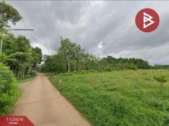 ขายที่ดินสวนยาง เนื้อที่ 7 ไร่ 1 งาน 93 ตารางวา วังกระแจะ ตราด-202510261536201761467780127.jpg