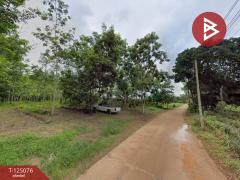 ขายที่ดินสวนยาง เนื้อที่ 7 ไร่ 1 งาน 93 ตารางวา วังกระแจะ ตราด-202510261536201761467780679.jpg