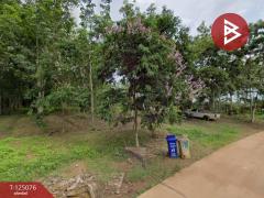 ขายที่ดินสวนยาง เนื้อที่ 7 ไร่ 1 งาน 93 ตารางวา วังกระแจะ ตราด-202510261536211761467781235.jpg