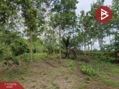 ขายที่ดินสวนยาง เนื้อที่ 7 ไร่ 1 งาน 93 ตารางวา วังกระแจะ ตราด-202510261536211761467781781.jpg