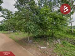 ขายที่ดินสวนยาง เนื้อที่ 7 ไร่ 1 งาน 93 ตารางวา วังกระแจะ ตราด-202510261536221761467782329.jpg