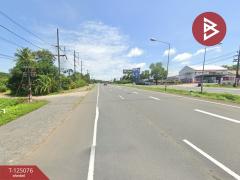 ขายที่ดินสวนยาง เนื้อที่ 7 ไร่ 1 งาน 93 ตารางวา วังกระแจะ ตราด-202510261536221761467782872.jpg