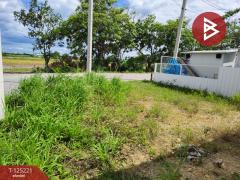 ขายบ้านเดี่ยวชั้นเดียว เนื้อที่ 55 ตร.วา บางปะกง ฉะเชิงเทรา-202510261540091761468009586.jpg