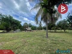 ขายที่ดิน เนื้อที่ 4 ไร่ 2 งาน 59 ตารางวา สามร้อยยอด ประจวบคีรีขันธ์ ใกล้ทะเล