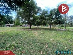 ขายที่ดิน เนื้อที่ 4 ไร่ 2 งาน 59 ตารางวา สามร้อยยอด ประจวบคีรีขันธ์ ใกล้ทะเล-202510261636101761471370742.jpg