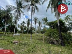 ขายที่ดิน เนื้อที่ 4 ไร่ 2 งาน 59 ตารางวา สามร้อยยอด ประจวบคีรีขันธ์ ใกล้ทะเล-202510261636111761471371286.jpg