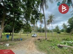 ขายที่ดิน เนื้อที่ 4 ไร่ 2 งาน 59 ตารางวา สามร้อยยอด ประจวบคีรีขันธ์ ใกล้ทะเล-202510261636111761471371820.jpg