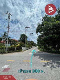 ขายที่ดิน เนื้อที่ 4 ไร่ 2 งาน 59 ตารางวา สามร้อยยอด ประจวบคีรีขันธ์ ใกล้ทะเล-202510261636121761471372900.jpg