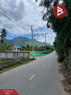 ขายที่ดิน เนื้อที่ 4 ไร่ 2 งาน 59 ตารางวา สามร้อยยอด ประจวบคีรีขันธ์ ใกล้ทะเล-202510261636131761471373421.jpg