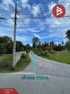 ขายที่ดิน เนื้อที่ 4 ไร่ 2 งาน 59 ตารางวา สามร้อยยอด ประจวบคีรีขันธ์ ใกล้ทะเล-202510261636131761471373950.jpg