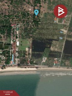 ขายที่ดิน เนื้อที่ 4 ไร่ 2 งาน 59 ตารางวา สามร้อยยอด ประจวบคีรีขันธ์ ใกล้ทะเล-202510261636141761471374488.jpg