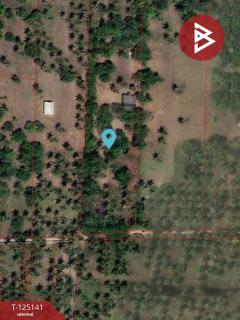 ขายที่ดิน เนื้อที่ 4 ไร่ 2 งาน 59 ตารางวา สามร้อยยอด ประจวบคีรีขันธ์ ใกล้ทะเล-202510261636151761471375020.jpg