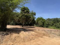 ขายที่ดินเปล่า ข้างที่ว่าการอำเภอเขาสวนกวาง จังหวัดขอนแก่น-202510261648411761472121451.jpg