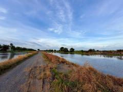 Vายถูก‼️ที่ดินใกล้วัดคลอง 24 เนื้อที่  1 ไร่✅️ติดถนนหินคลุกสาธารณะ ต.ศีรษะกระบือ อ.องครักษ์ จ.นครนายก095-879-4465 -202510262302031761494523739.jpeg