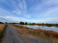 Vายถูก‼️ที่ดินใกล้วัดคลอง 24 เนื้อที่  1 ไร่✅️ติดถนนหินคลุกสาธารณะ ต.ศีรษะกระบือ อ.องครักษ์ จ.นครนายก095-879-4465 -202510262302041761494524300.jpeg