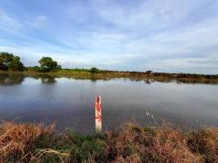 Vายถูก‼️ที่ดินใกล้วัดคลอง 24 เนื้อที่  1 ไร่✅️ติดถนนหินคลุกสาธารณะ ต.ศีรษะกระบือ อ.องครักษ์ จ.นครนายก095-879-4465 -202510262302041761494524838.jpeg