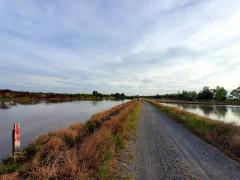 Vายถูก‼️ที่ดินใกล้วัดคลอง 24 เนื้อที่  1 ไร่✅️ติดถนนหินคลุกสาธารณะ ต.ศีรษะกระบือ อ.องครักษ์ จ.นครนายก095-879-4465 -202510262302051761494525385.jpeg