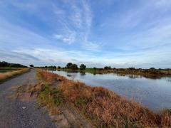 Vายถูก‼️ที่ดินใกล้วัดคลอง 24 เนื้อที่  1 ไร่✅️ติดถนนหินคลุกสาธารณะ ต.ศีรษะกระบือ อ.องครักษ์ จ.นครนายก095-879-4465 -202510262302051761494525939.jpeg