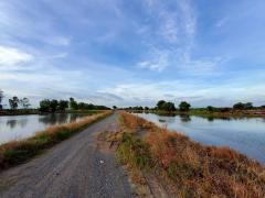 Vายถูก‼️ที่ดินใกล้วัดคลอง 24 เนื้อที่  1 ไร่✅️ติดถนนหินคลุกสาธารณะ ต.ศีรษะกระบือ อ.องครักษ์ จ.นครนายก095-879-4465 -202510262302061761494526478.jpeg