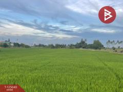 ขายที่ดิน เนื้อที่ 15 ไร่ ศรีประจันต์ สุพรรณบุรี-202510270909121761530952624.jpg