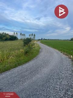 ขายที่ดิน เนื้อที่ 15 ไร่ ศรีประจันต์ สุพรรณบุรี-202510270909141761530954710.jpg