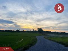 ขายที่ดิน เนื้อที่ 15 ไร่ ศรีประจันต์ สุพรรณบุรี-202510270909151761530955224.jpg