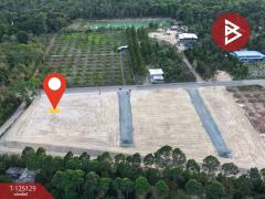 ขายที่ดิน เนื้อที่ 1 ไร่ 1 งาน 89 ตร.วา แสลง จันทบุรี