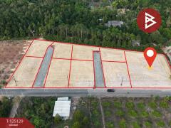 ขายที่ดิน เนื้อที่ 1 ไร่ 1 งาน 89 ตร.วา แสลง จันทบุรี-202510270917061761531426192.jpg