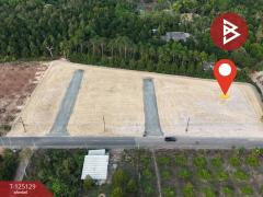 ขายที่ดิน เนื้อที่ 1 ไร่ 1 งาน 89 ตร.วา แสลง จันทบุรี-202510270917061761531426725.jpg