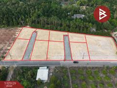 ขายที่ดิน เนื้อที่ 1 ไร่ 1 งาน 89 ตร.วา แสลง จันทบุรี-202510270917071761531427785.jpg