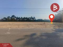 ขายที่ดิน เนื้อที่ 1 ไร่ 1 งาน 89 ตร.วา แสลง จันทบุรี-202510270917081761531428319.jpg