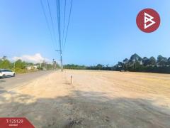 ขายที่ดิน เนื้อที่ 1 ไร่ 1 งาน 89 ตร.วา แสลง จันทบุรี-202510270917091761531429382.jpg