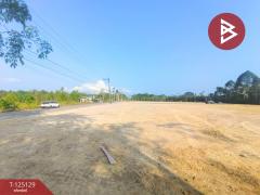 ขายที่ดิน เนื้อที่ 1 ไร่ 1 งาน 89 ตร.วา แสลง จันทบุรี-202510270917091761531429908.jpg