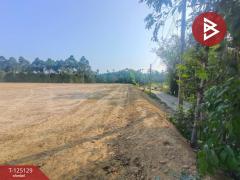 ขายที่ดิน เนื้อที่ 1 ไร่ 1 งาน 89 ตร.วา แสลง จันทบุรี-202510270917101761531430431.jpg