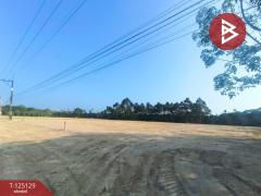 ขายที่ดิน เนื้อที่ 1 ไร่ 1 งาน 89 ตร.วา แสลง จันทบุรี-202510270917101761531430964.jpg